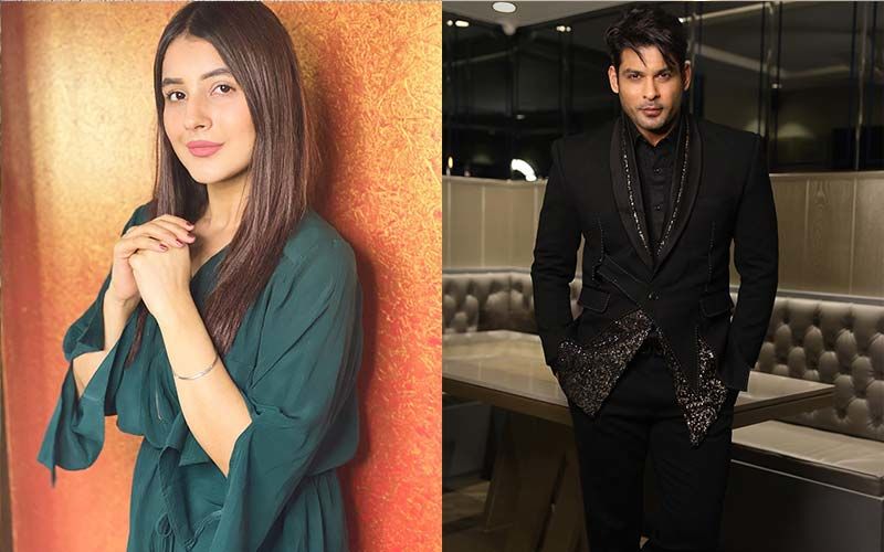 SidNaaz Alert: 5 Colours That Sidharth Shukla-Shehnaaz Gill Love Wearing In Common; THESE Instagram Pics Are Proof