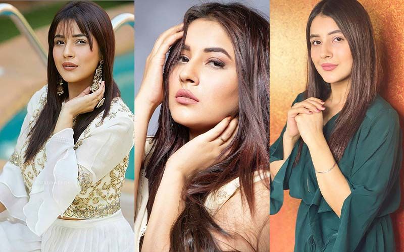 Shehnaaz Gill's Most Liked Pictures On Instagram; Don't Miss