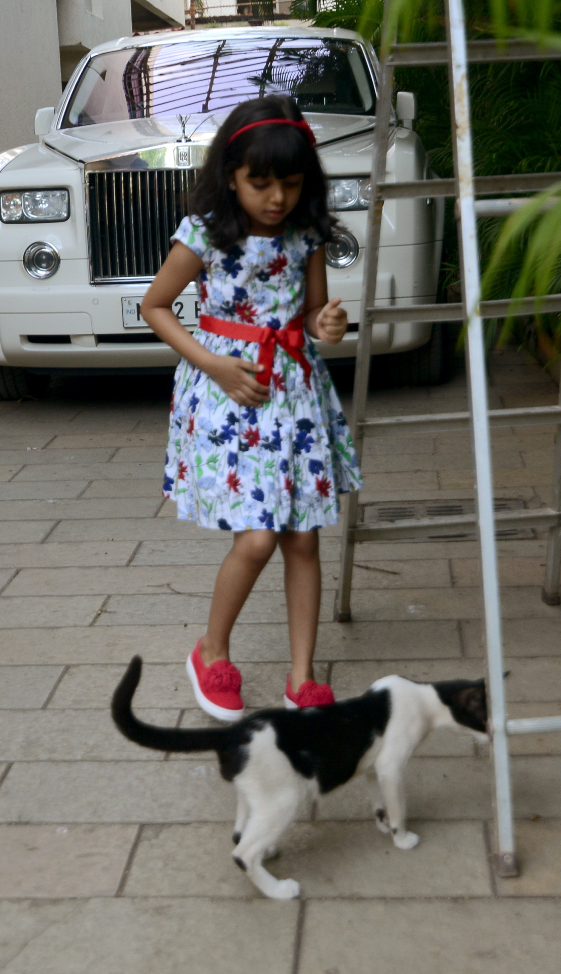 aaradhya bachchan playing with a stray cat at jalsa