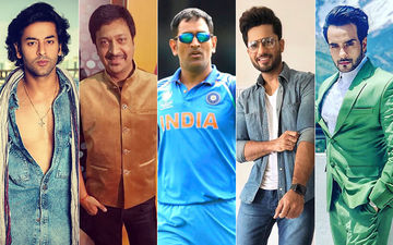 TV Fraternity Divided On MS Dhoni's Retirement Talk