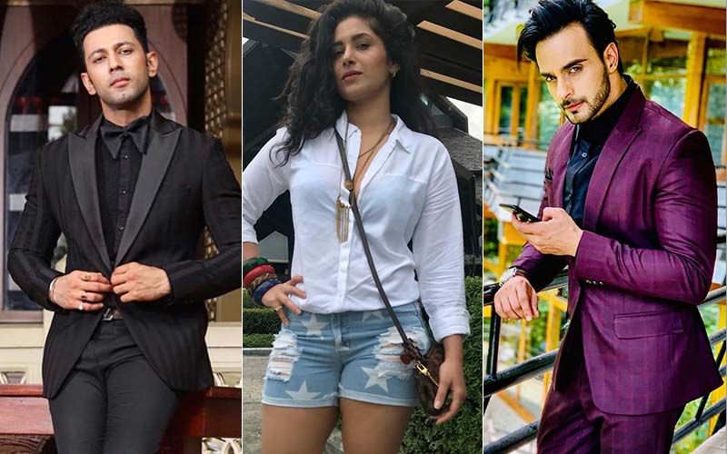 TV Industry Reacts On Mira Road Attack On Ekta Kapoor's Show: Shubhaavi Choksey, Angad Hasija, Sahil Anand Express Disappointment
