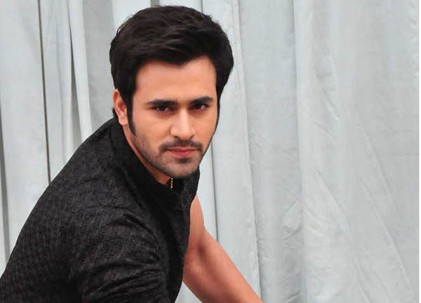 tv star pearl v puri