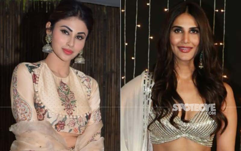 Fashion Face-off: Mouni Roy vs Vaani Kapoor – Which Actress Do You Think Carried Off Their Pink Ethnic Wear Better?