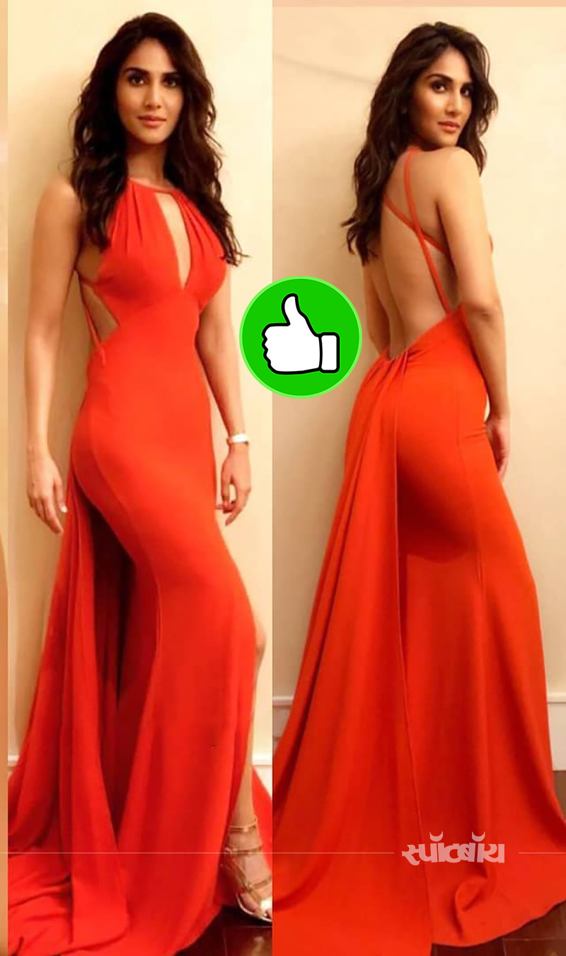 vaani vaani