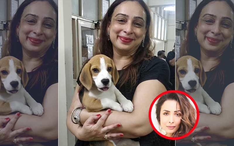 Malaika Arora’s Divorce Lawyer's Dog Kidnapped: Lady Drags Zomato To Court