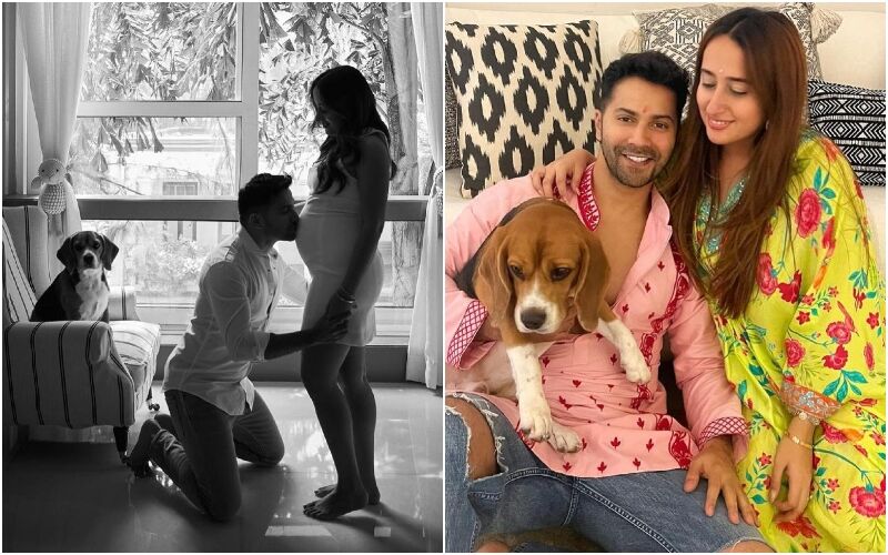 Varun Dhawan-Natasha Dalal Announce Their FIRST Pregnancy; Actor Kisses Wife's Baby Bump In An Adorable Post