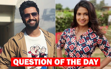 Do You Think Vicky Kaushal And Harleen Sethi Can Kiss And Make Up?
