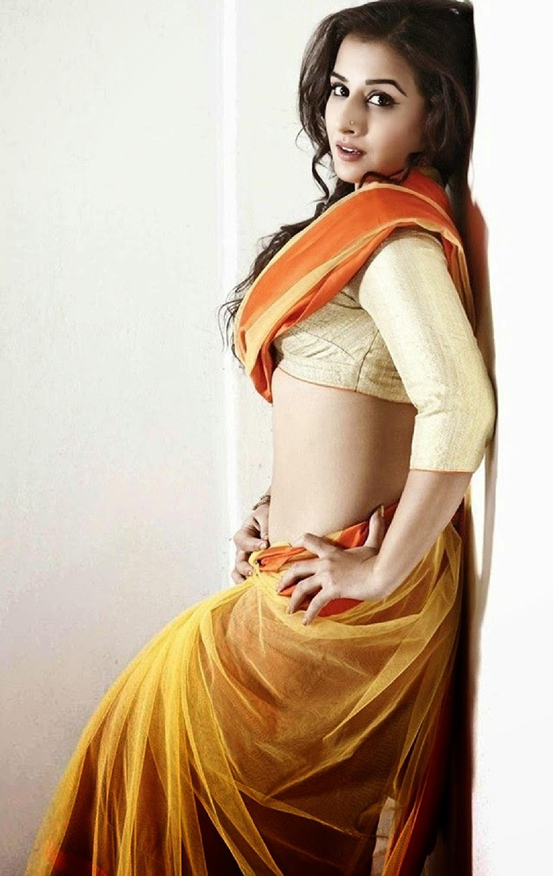 vidya balan looks sexy in a saree