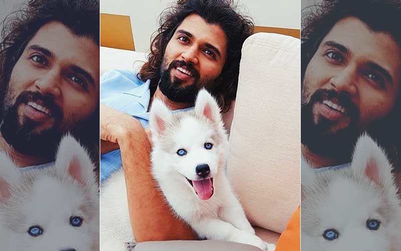 Vijay Devarakonda Sends Netizens Into A Tizzy As He Poses Shirtless With His ‘Cute Beast’ – PIC INSIDE