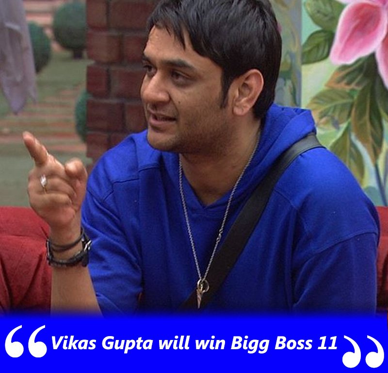 vikas gupta will win bigg boss 11