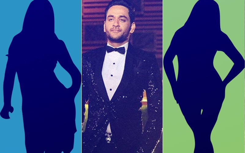 SAY WHAT! Vikas Gupta To DIVIDE His Bigg Boss 11 Prize Money With These 2 Contestants