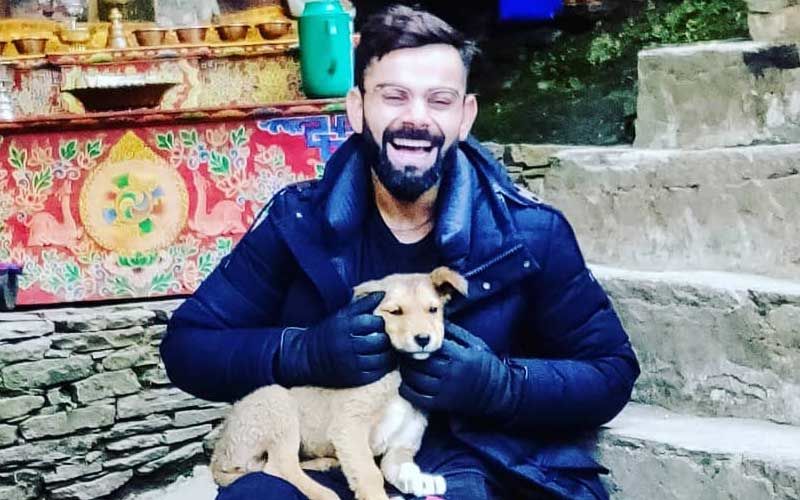 Virat Kohli Bags India’s PETA Person Of The Year Award For 2019