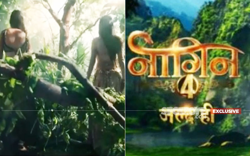 Waiting For Naagin 4? We Have News For You!- EXCLUSIVE