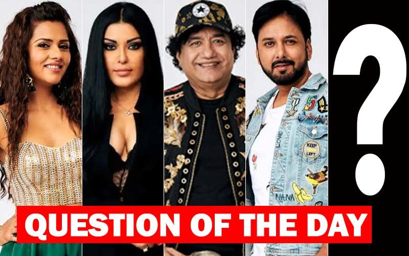 Who Do You Think Should Be Evicted From Bigg Boss 13, This Weekend?