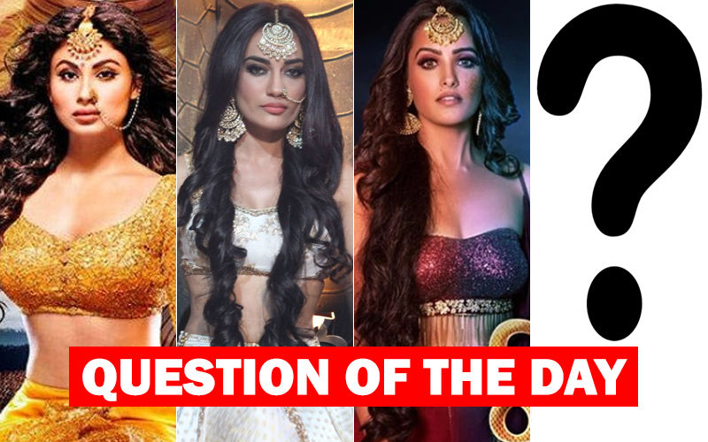 Who Would You Want To See As The Main Naagin In Naagin 4?
