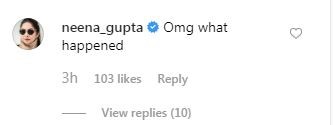 neena neena